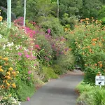 Cooroy Country Cottages