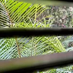 Noosa Private Sanctuary, Walking Distance To Beach