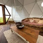 Golden Domes