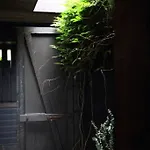 Shack Palace Noosa Home