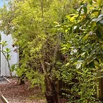Pa2 Stunning Sunshine Beach Apt Pets Welcome