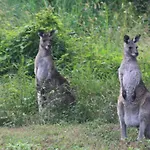 Noosa Hinterland Spectacular Boutique Guesthouse