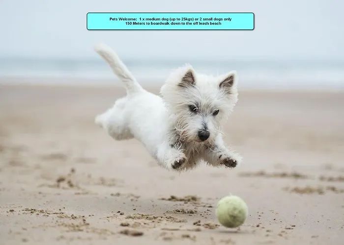 Orient Pacific - Pet Friendly