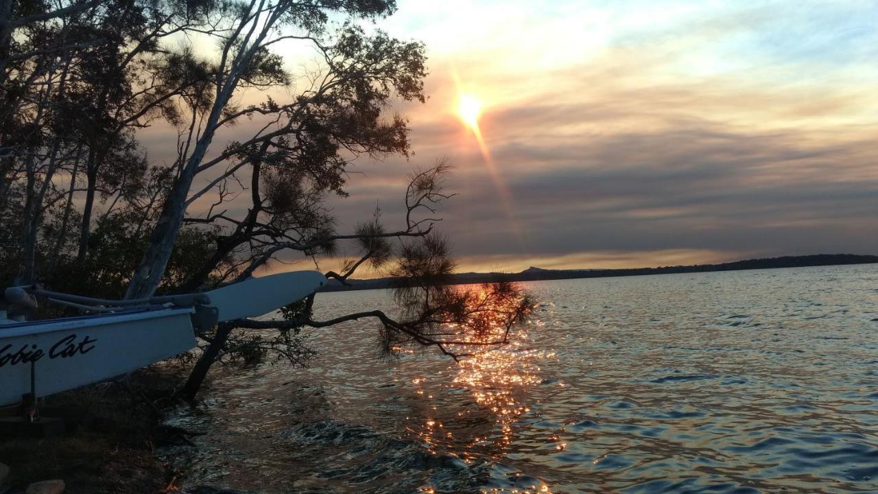 Weyba Noosa & Kangaroos Lodge