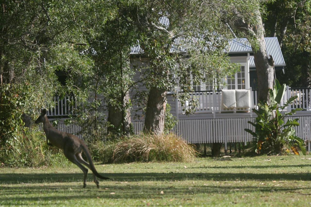 Weyba Noosa & Kangaroos Lodge