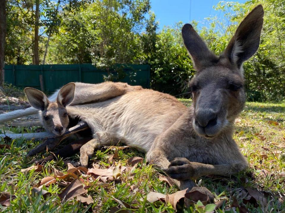 Noosa Rural Retreat