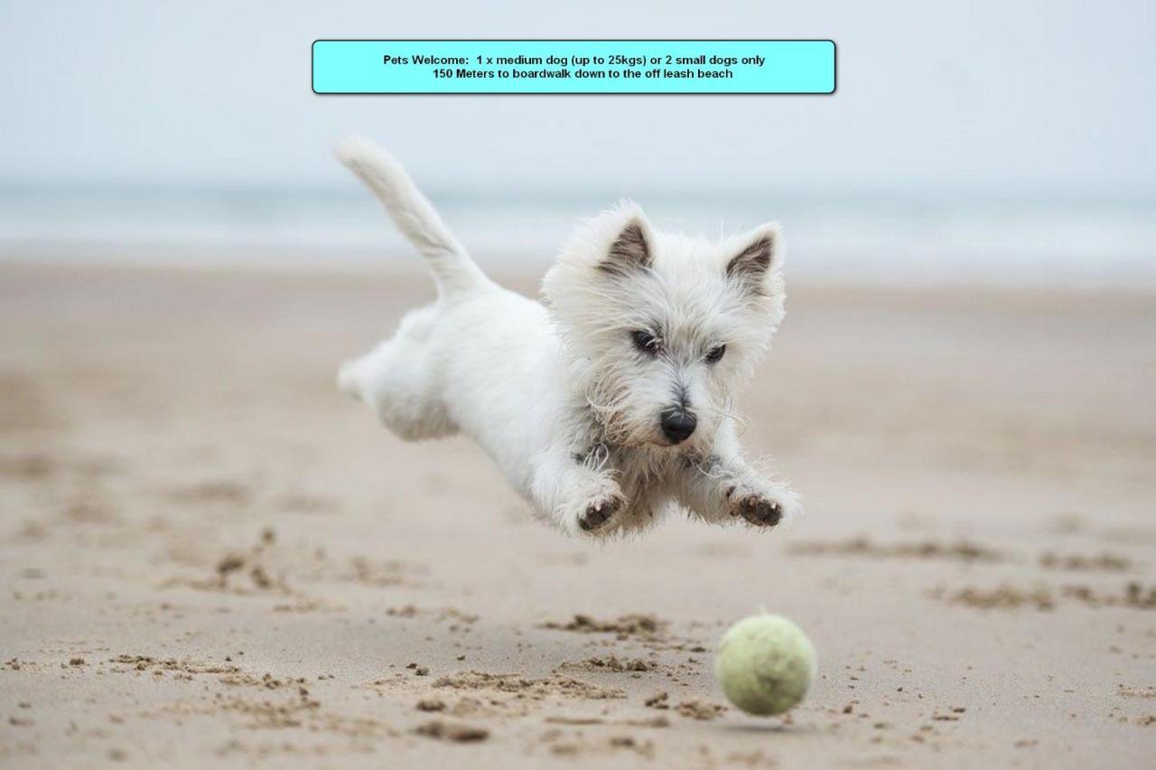 Orient Pacific - Pet Friendly Sunrise Beach