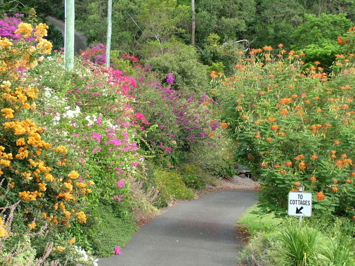 Cooroy Country Cottages Lodge Black Mountain