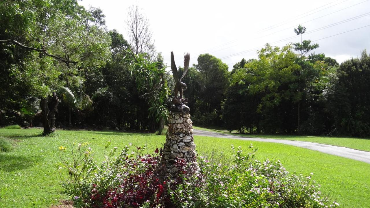 Cooroy Country Cottages *