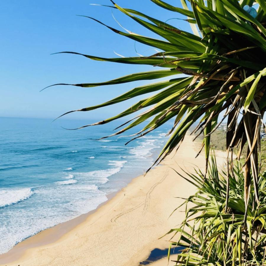 Apartment Sunshine Retreat Offers Ocean Views And Style Sunshine Beach