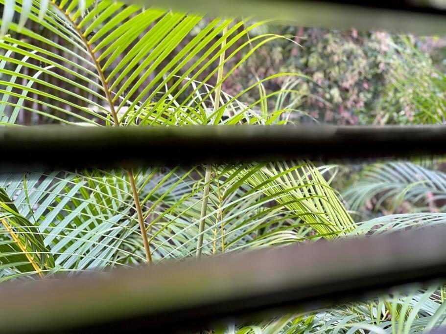 Private Sanctuary, Walking Distance To