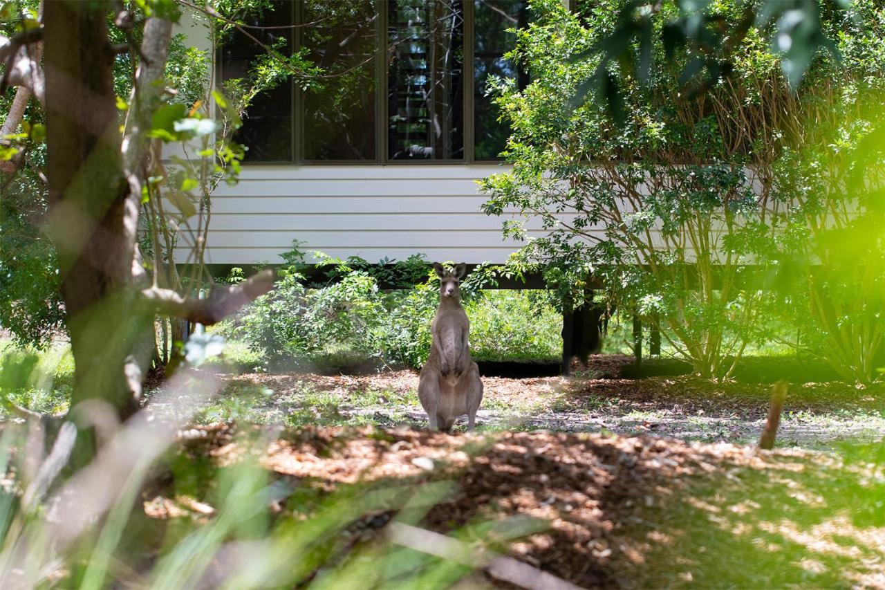 Eumarella Shores Noosa Retreat 4*