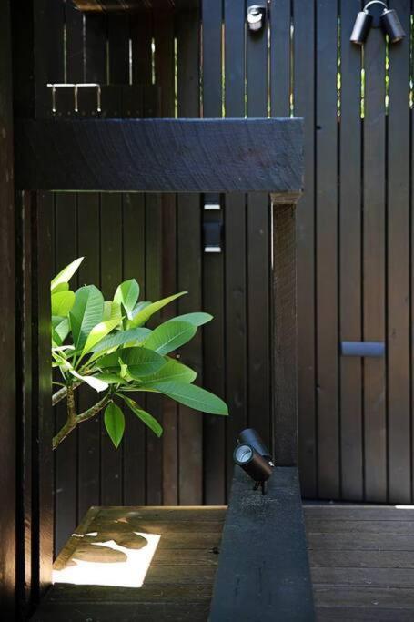 Shack Palace * Noosa Heads