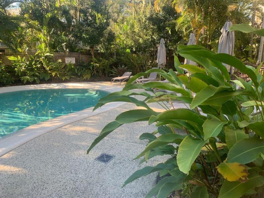 Large Gem - Off Gympie Terrace Apartment Noosaville