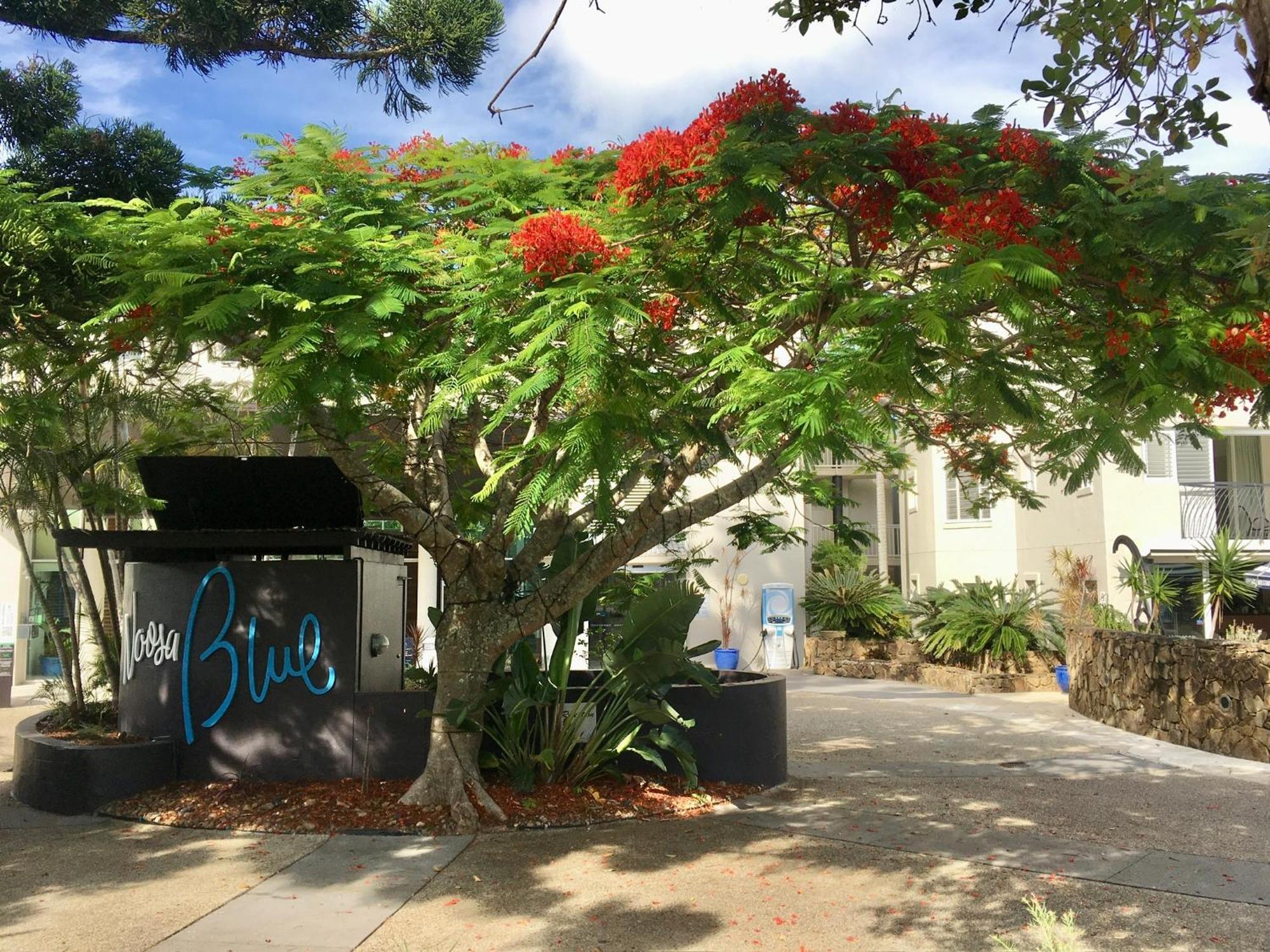Apartment Oasis Rooftop Noosa Heads