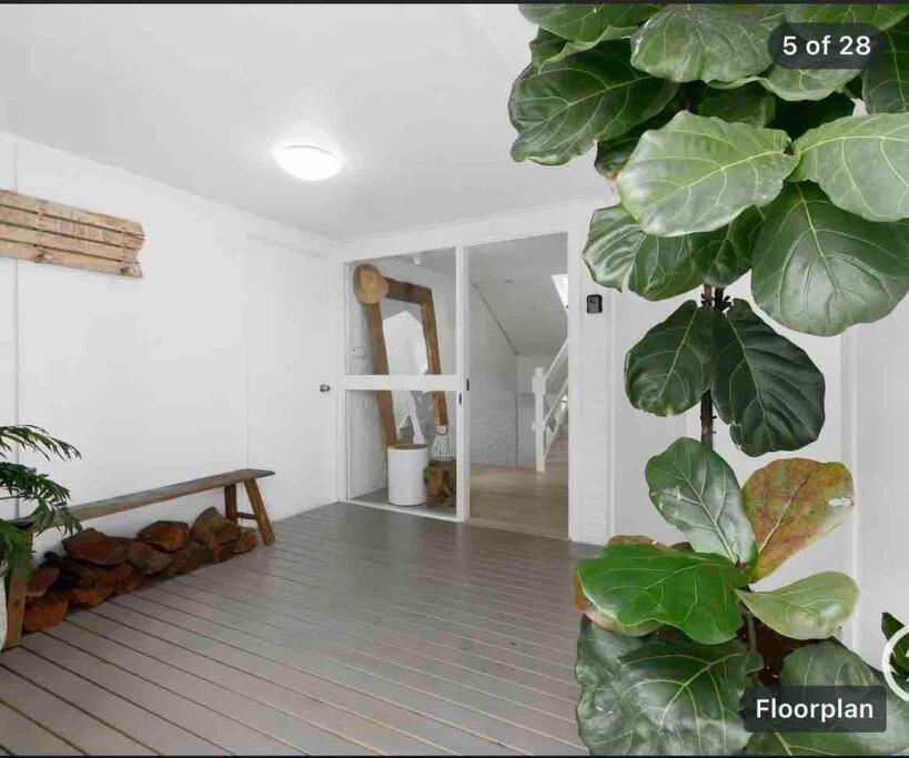 White House High On Belmore, Pets Welcome