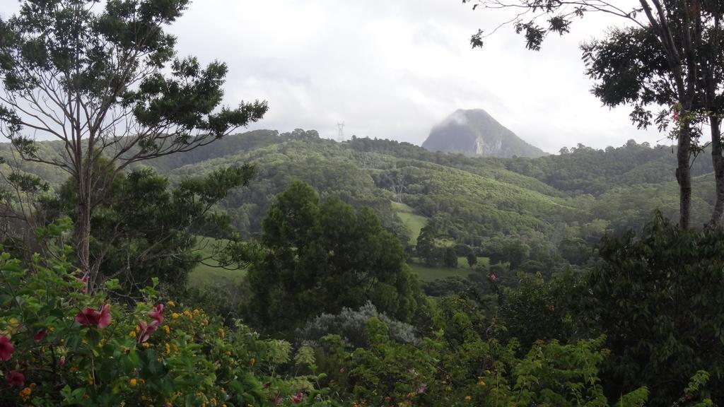 Cooroy Country Cottages *