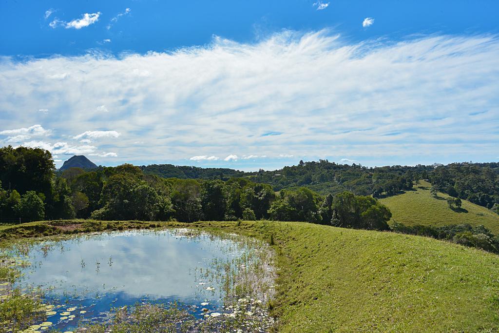 Lodge Cooroy Country Cottages