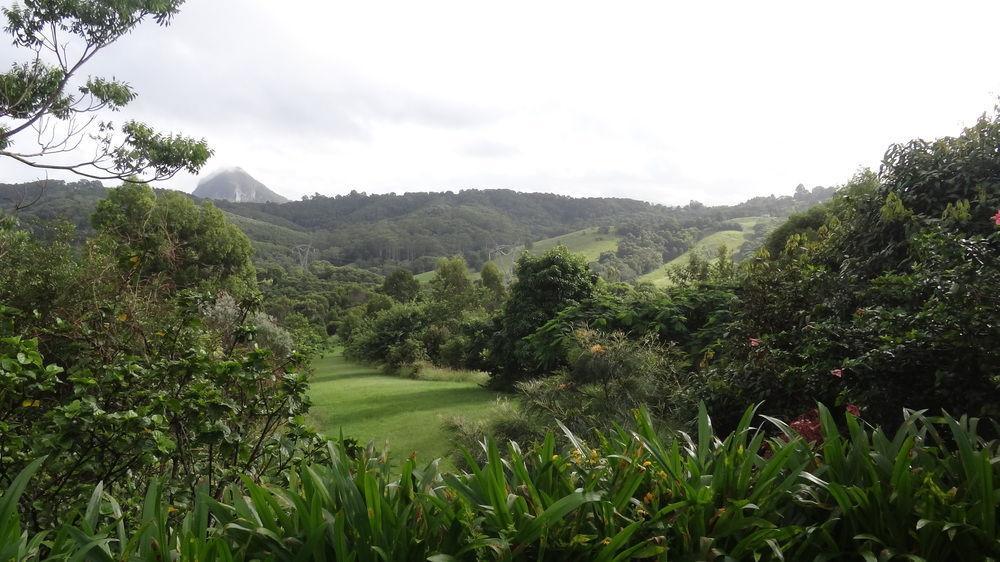 Cooroy Country Cottages Lodge *