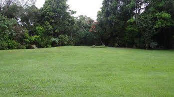 Cooroy Country Cottages Black Mountain