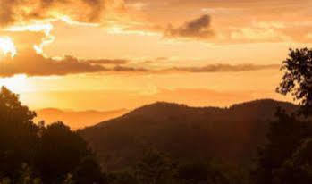 Cooroy Country Cottages Lodge Black Mountain