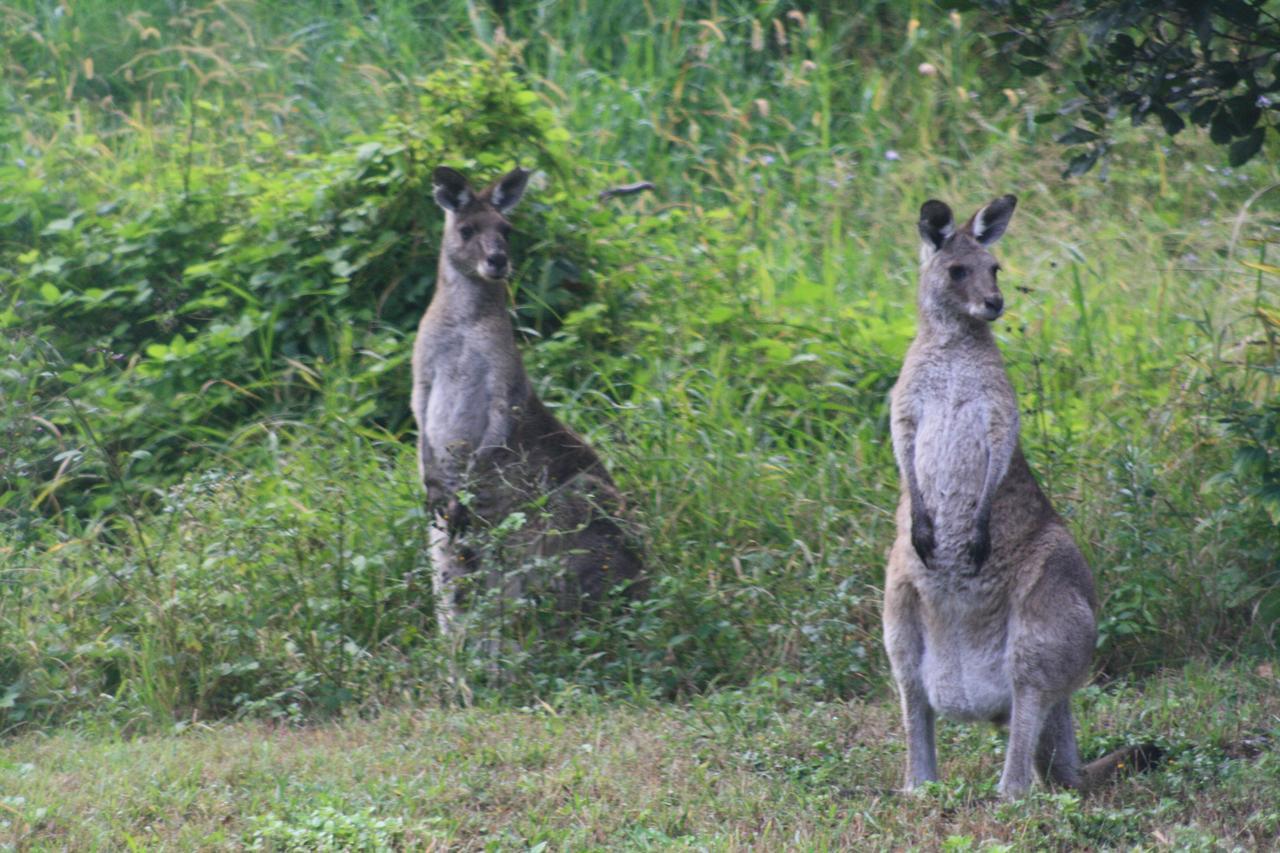 Noosa Hinterland Spectacular Boutique