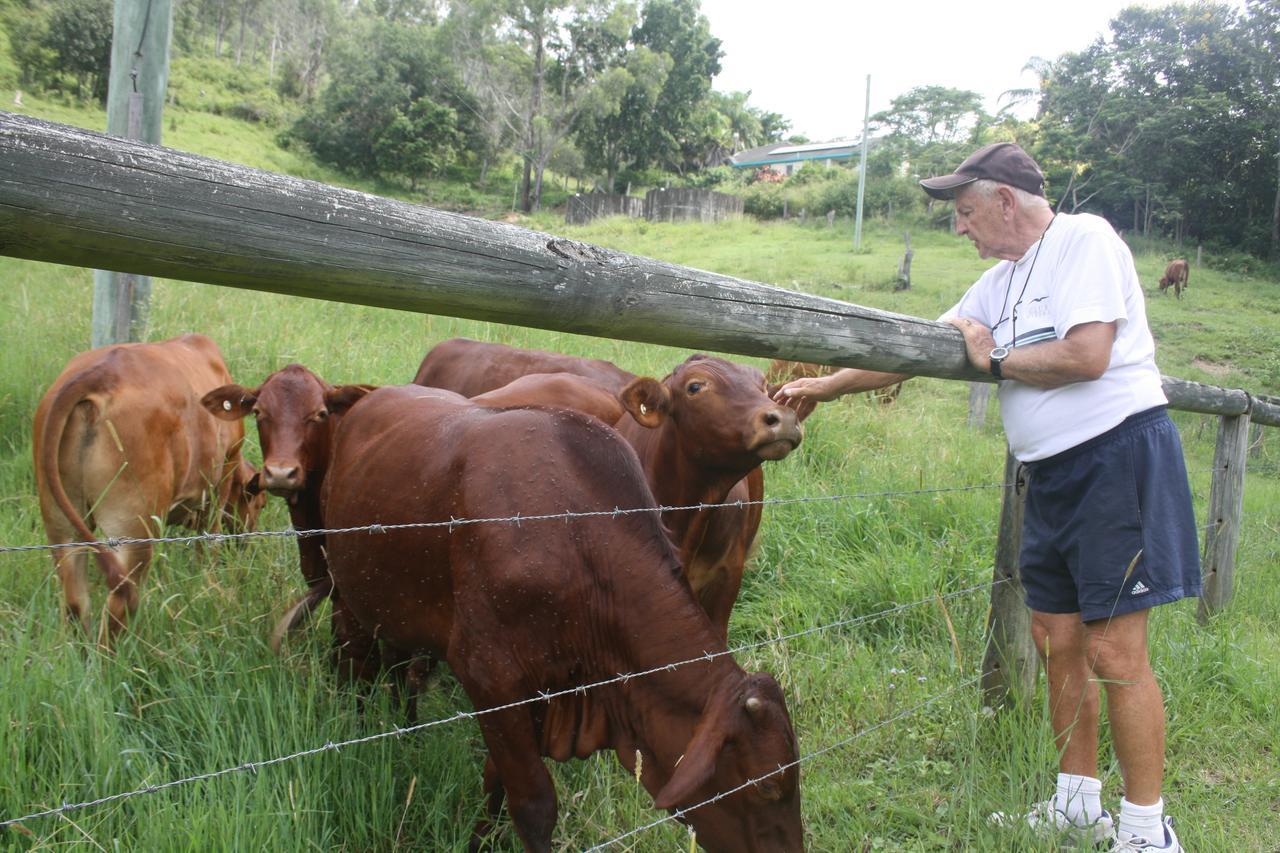 Noosa Hinterland Spectacular Boutique Guest house