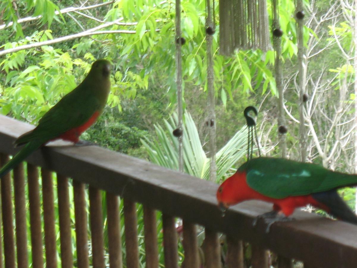 Guest house Noosa Hinterland Spectacular Boutique