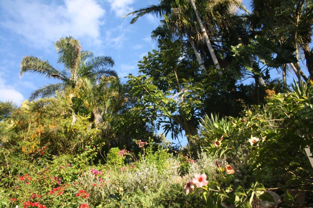 Guest house Noosa Hinterland Spectacular Boutique Cooran