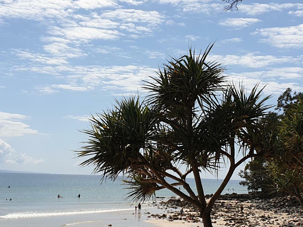 Noosa River Guest