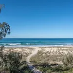Lorikeet Sands