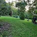 Deluxe Forest Escape - Arcade Games Room, Spa Jacuzzi, Sauna, Bar, Bonfire!