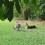 The Wake-Up Call Accommodation & Retreats - Noosa Hinterland