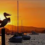 Studio Apartment Noosa Riverfront