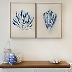 Noosa Retreat