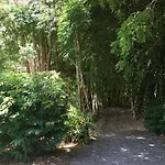 Kin Kin Cottage Retreat