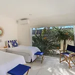 Pandanus - Peregian Beach