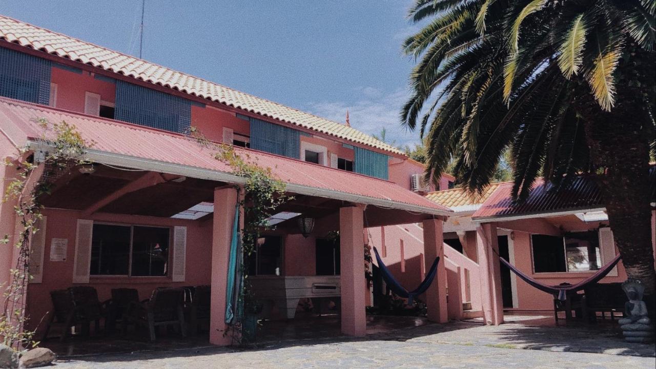Dolphins Backpackers Hostel *