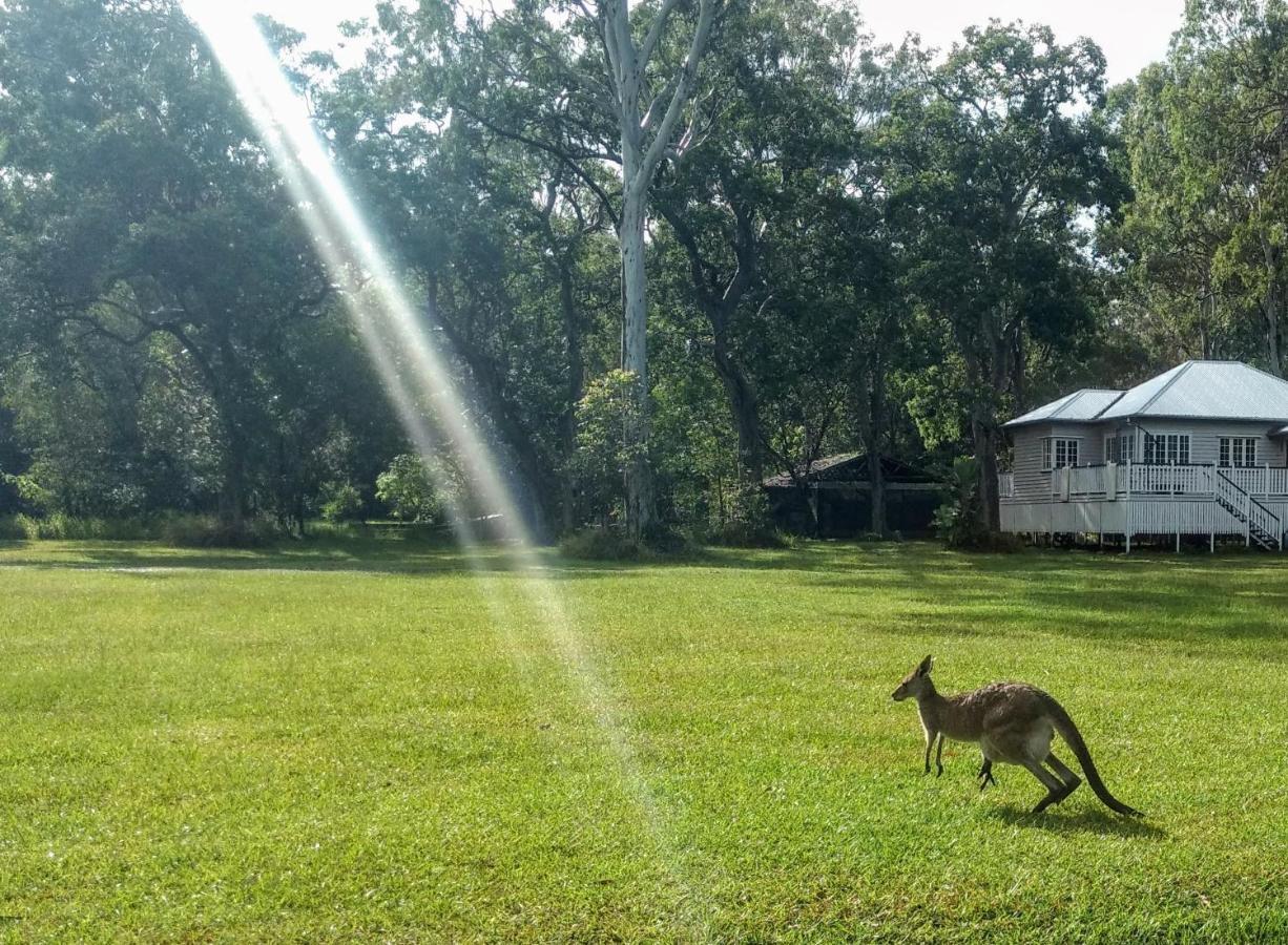 Weyba Noosa & Kangaroos Lodge Peregian Beach