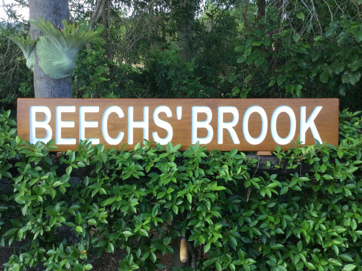 Bed & Breakfast Beechs' Brook Rainforest Retreat Cootharaba