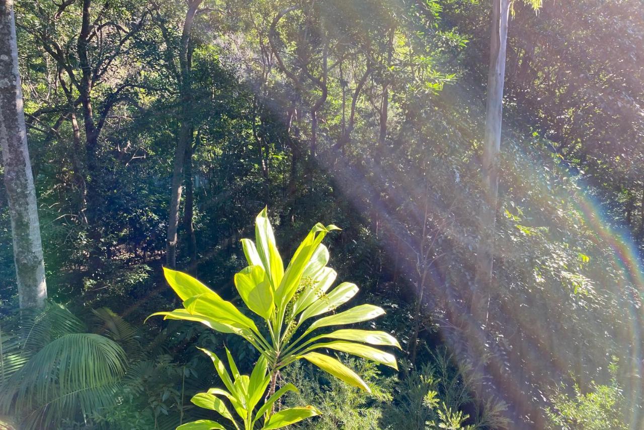 Apartment Private Retreat In The Heart Of Noosa Heads