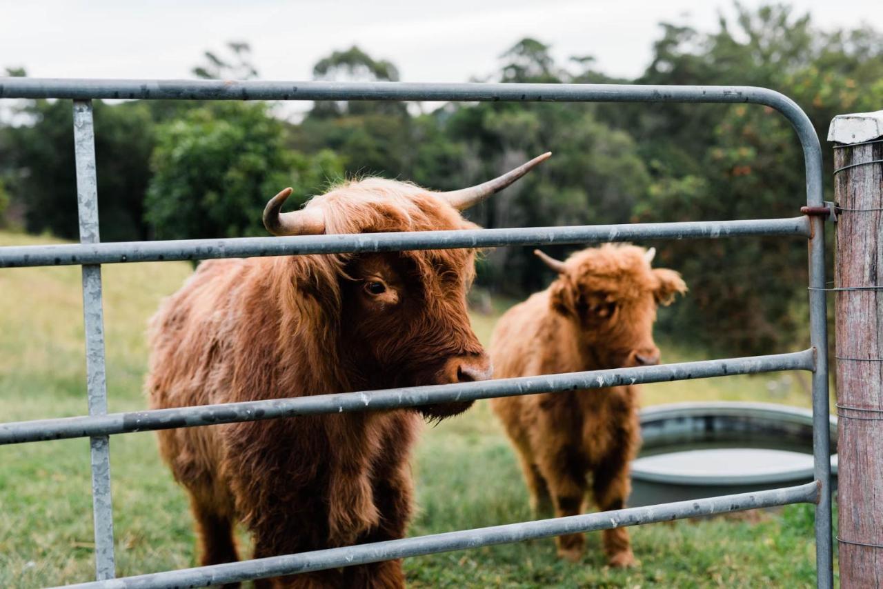 Farm stay Thirlestane Farm & Barn Cooroy