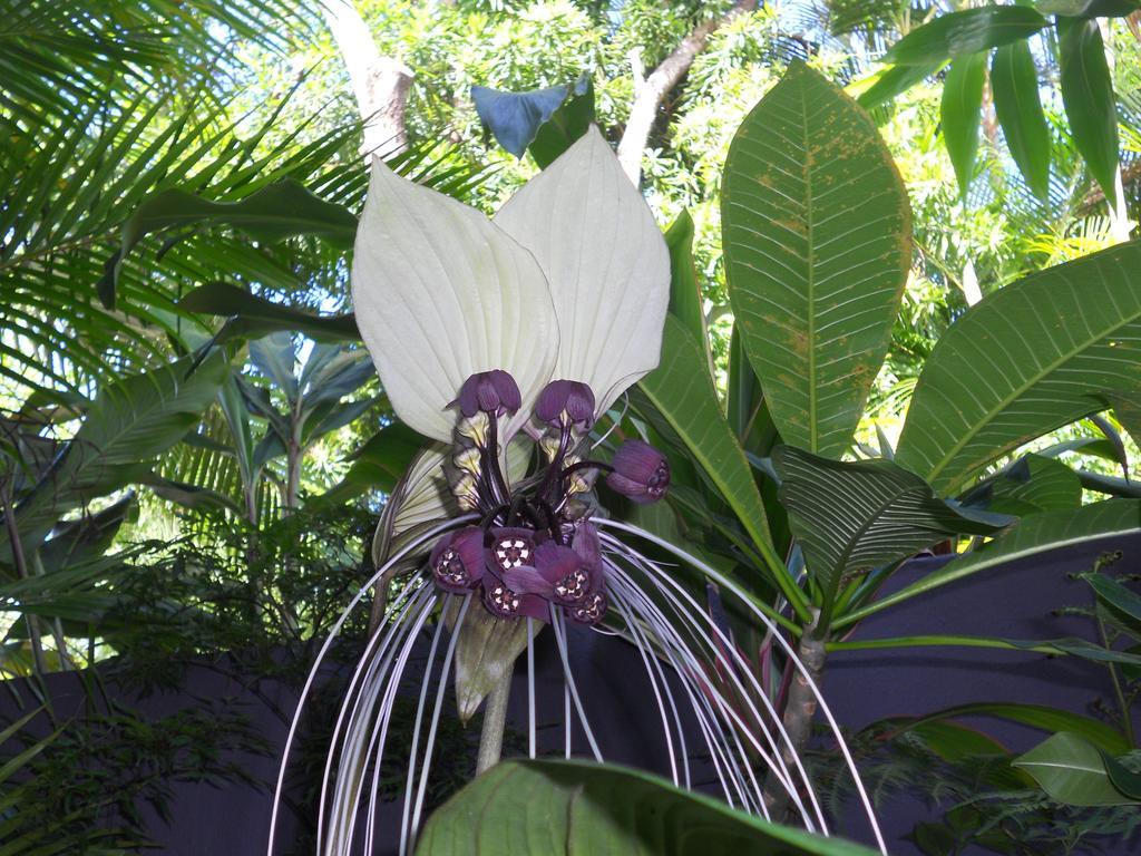 Noosa Gardens Riverside Aparthotel