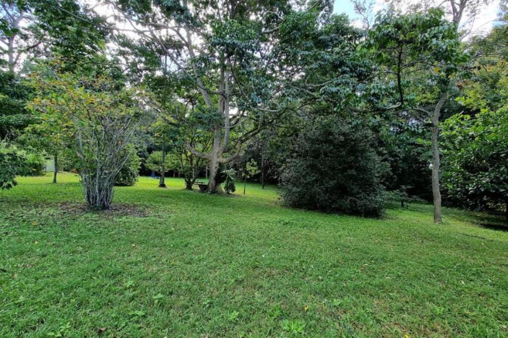 Deluxe Forest Escape - Arcade Games Room, Jacuzzi, Sauna, Bar, Bonfire! Apartment Tewantin
