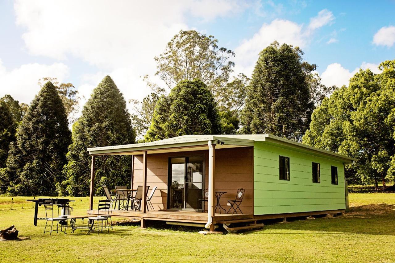 Green Noosa *