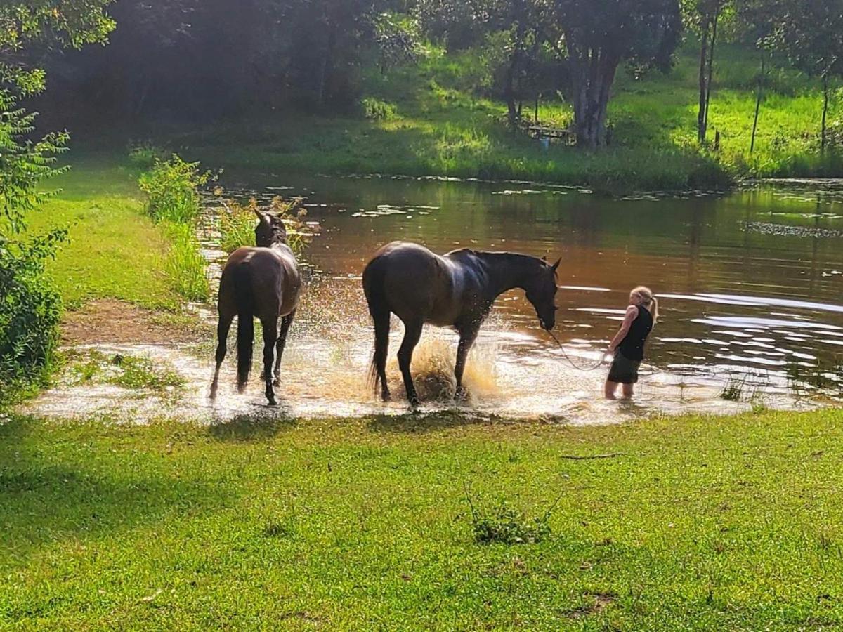 The Wake-up Call & Retreats - Noosa Hinterland Pomona