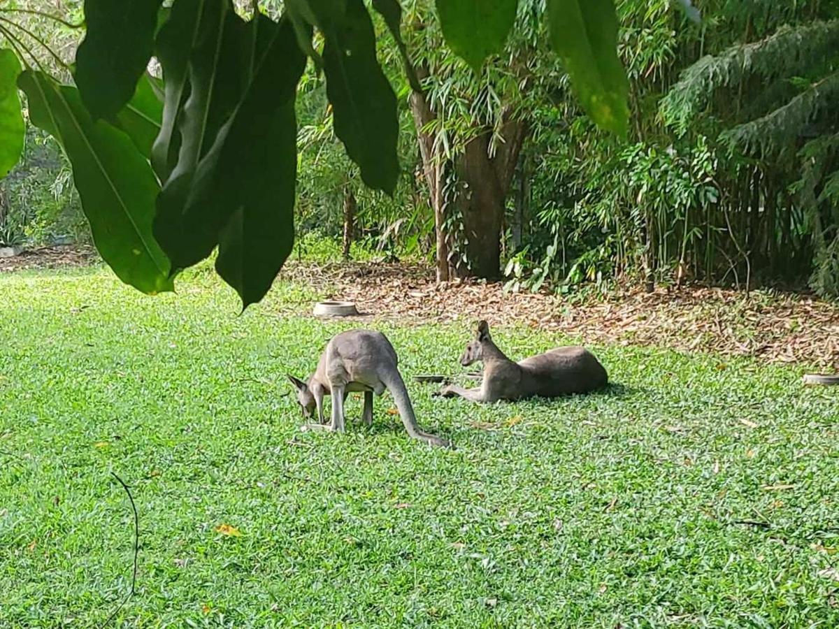 The Wake-up Call & Retreats - Noosa Hinterland Pomona