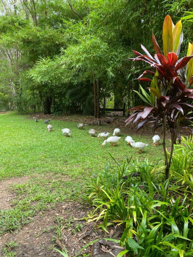 The Wake-up Call & Retreats - Noosa Hinterland Guest house
