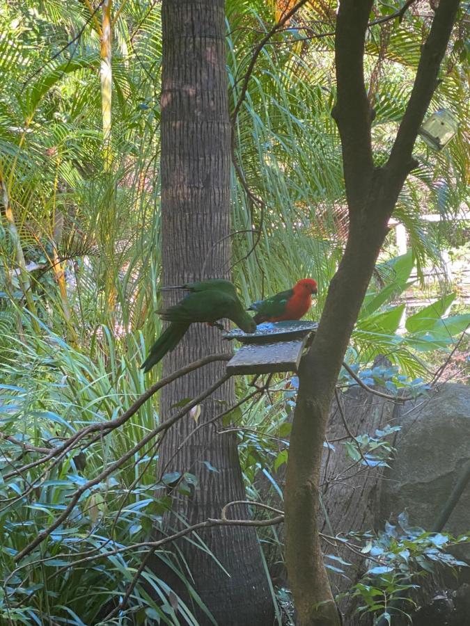 Guest house The Wake-up Call & Retreats - Noosa Hinterland Pomona