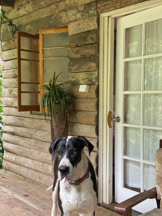 Guest house The Wake-up Call & Retreats - Noosa Hinterland *